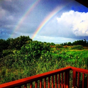 rainbow
