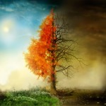 Life, Death, Pumpkin Seeds