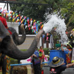 Splash Water. Splash Happiness!