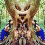 Adoration of Polarities